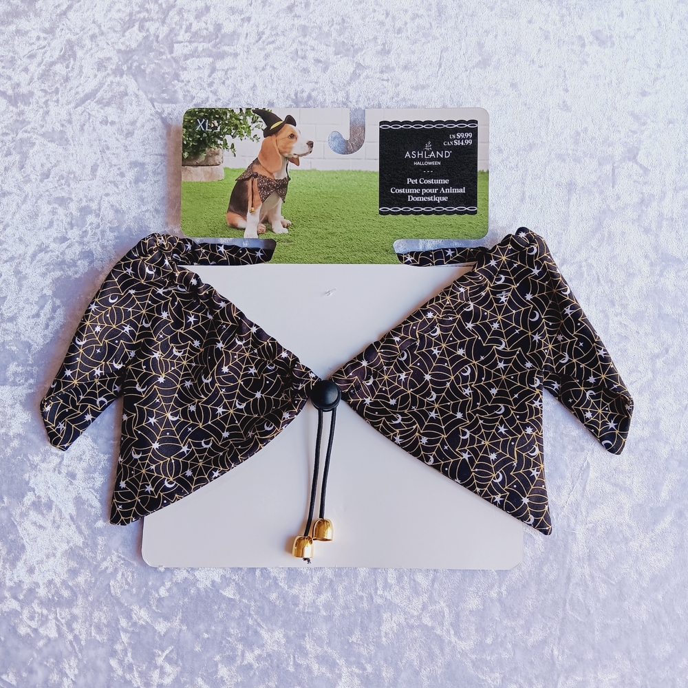 Ashland Halloween Witch Pet Costume